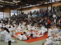 littlekano2017_046
